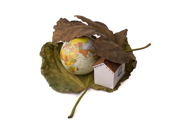 Globe en een modelhuisje tussen twee herfstbladeren