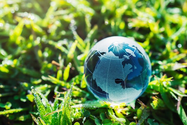 Photo globe glass on grass with sunshine. environment concept