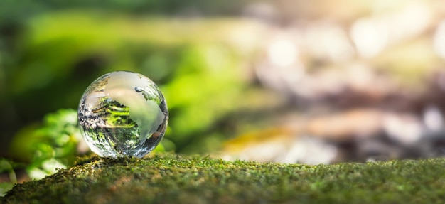 Globe glass on grass with sunshine environment concept