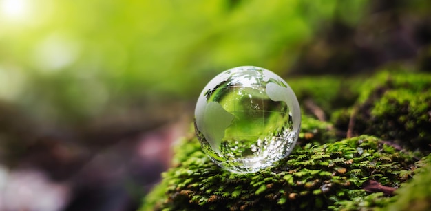 サンシャイン環境コンセプトの草の上のグローブガラス