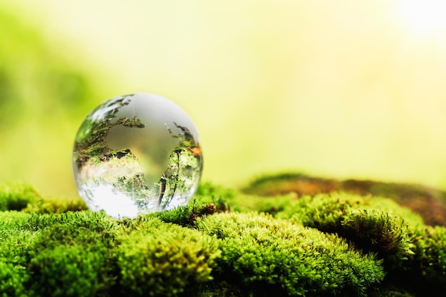 Globe glass on grass with sunshine environment concept