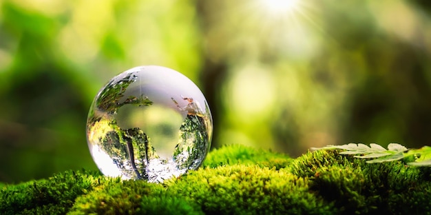 Globe glass on grass with sunshine environment concept