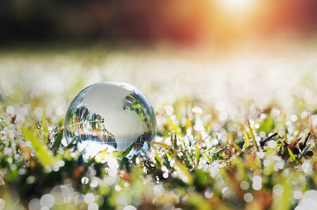 写真 太陽の光と緑の草の上のグローブガラス。エコ環境コンセプト