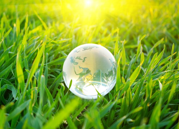 Globe in grass