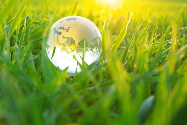 Photo globe in  grass