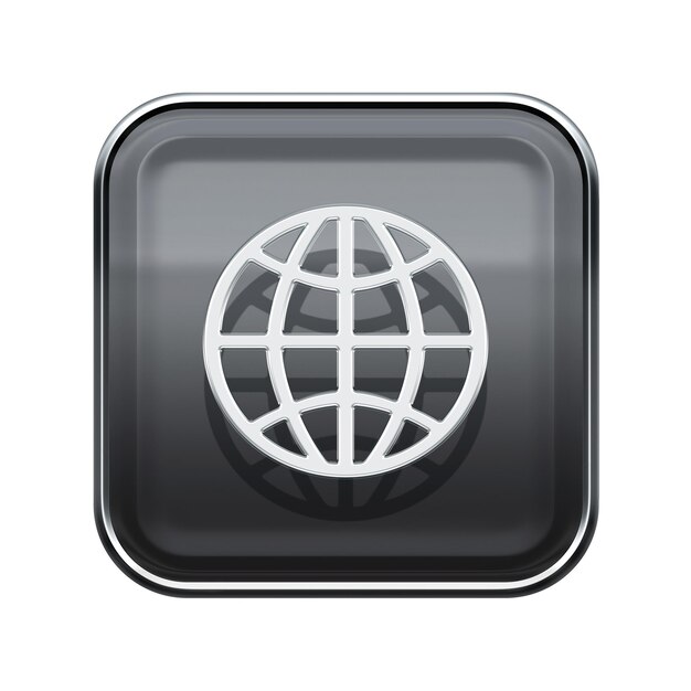 Photo globe icon glossy grey