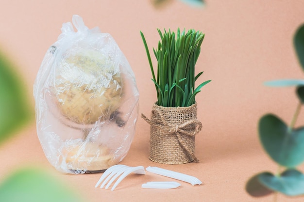 Globe in a plastic bag flower and plastic fork on a beige background