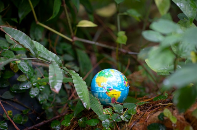 Globe surrounded by green foliage nature