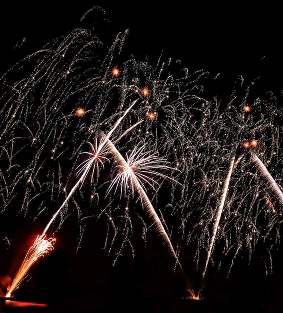 Gloeiend Bloeiend Bloemen barstend vuurwerklicht op zwarte hemel