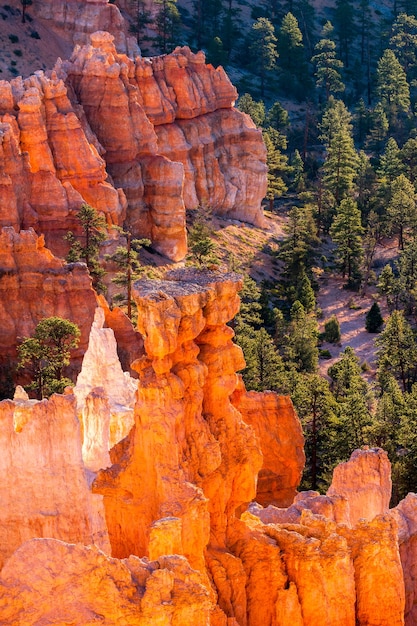 Gloeiende hoodoos in Bryce Canyon