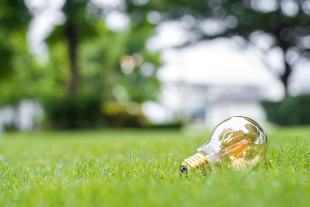 gloeilamp in groen gras