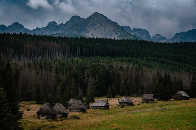 Gloomy autumn weather over beautiful wooden houses in the meadows in the foothills