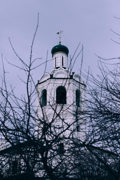 Фото Мрачный снимок православной церкви с темными деревьями ворон сидит на кресте купола храма