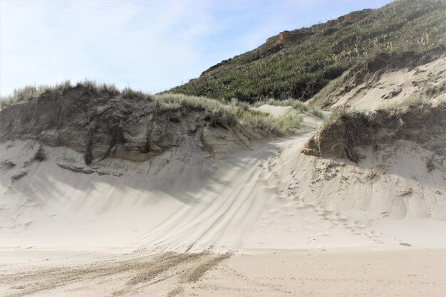 Glorieuze strandduinen