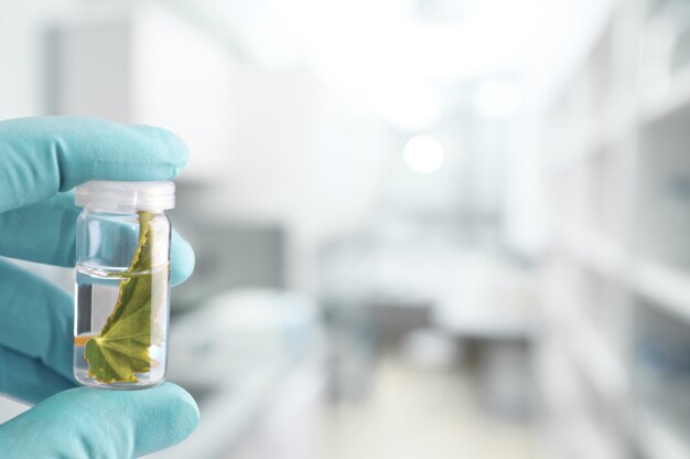  Gloved hand holds a plant sample in clear liquid