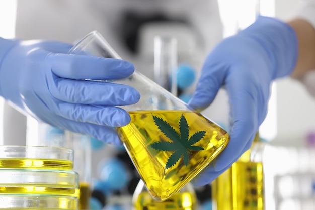 Gloved scientist holds flask of marijuana oil