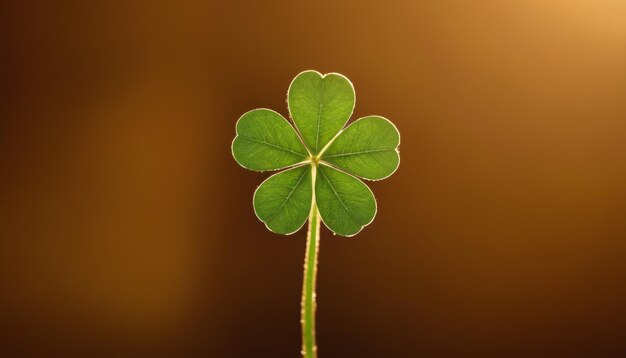 Photo glowing clover leaf in the sunlight stpatrick s day