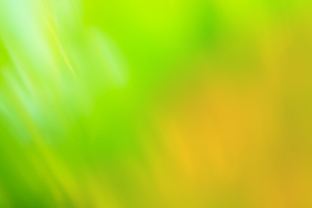 サンバーストで輝く緑の自然の背景抽象的な自然の緑の背景