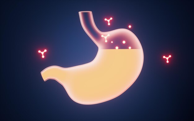 Photo glowing molecules and stomach 3d rendering