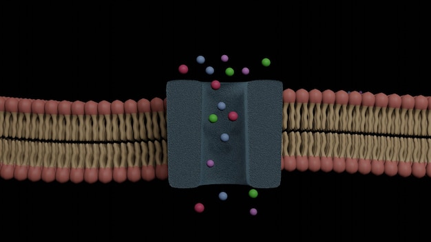 Foto sezione trasversale della membrana cellulare a doppio strato di glicoproteina e rendering 3d del suo canale ionico