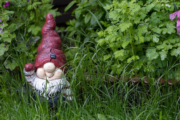 A gnome sits in the grass in front of a plant.