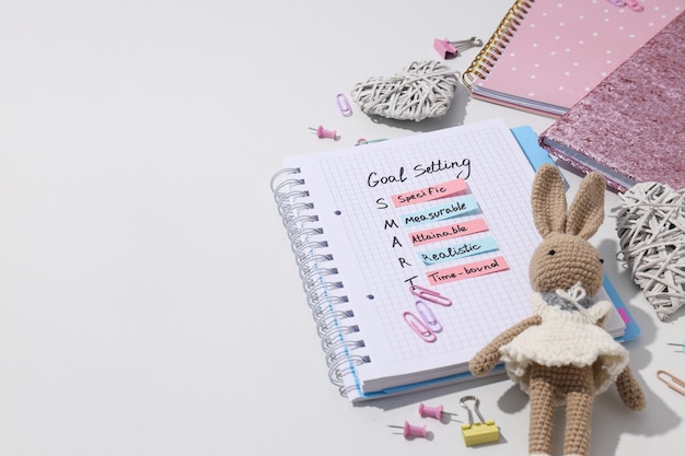 Photo goal plan in a pink notebook with a toy bunny