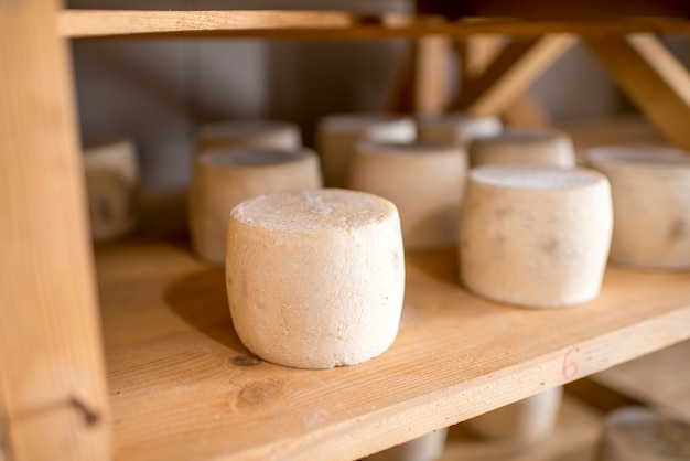 Goat cheeses aging on the wooden selves at the cellar