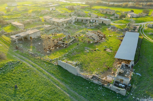 Fattoria di capre nel villaggio tradizionale abbandonato a cipro vista dall'alto