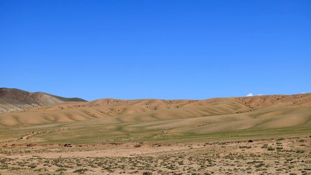 The gobialtai landscape in mongolia