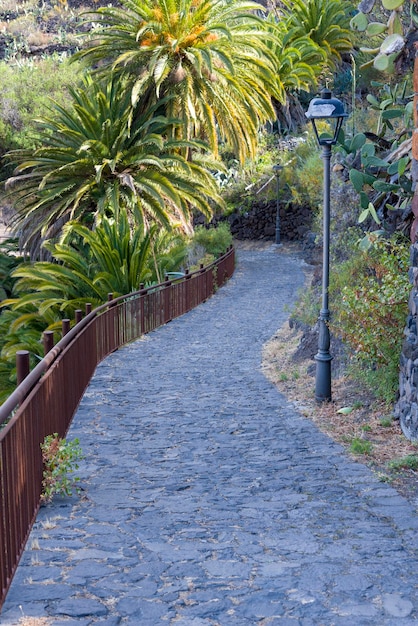 Goede stenen weg met palmbomen op het eiland Tenerife