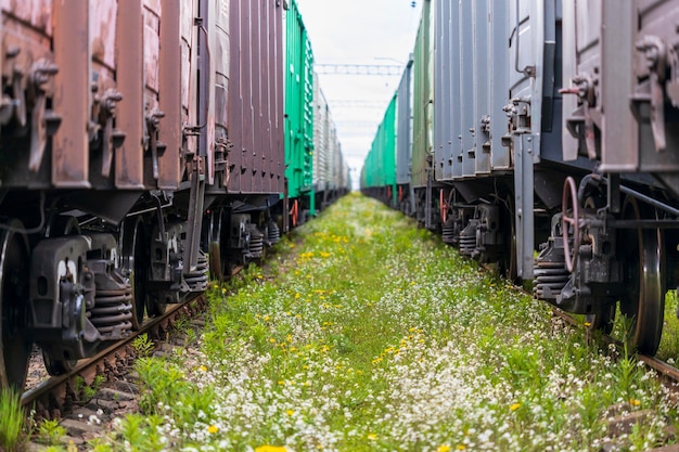 Goederentreinwagons staan in het depot