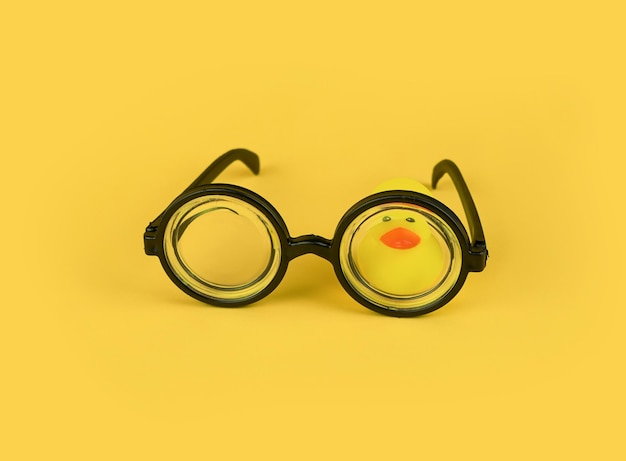 goggles with small yellow duck