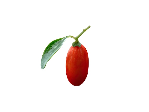 Goji or goji berry is edible fruit and used in traditional Chinese Korean and Japanese medicine