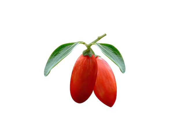 Goji or goji berry is edible fruit and used in traditional Chinese Korean and Japanese medicine