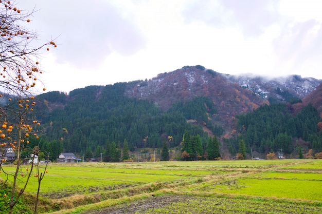 Foto gokayama, giappone. abbondante di risorse naturali, cultura e patrimonio