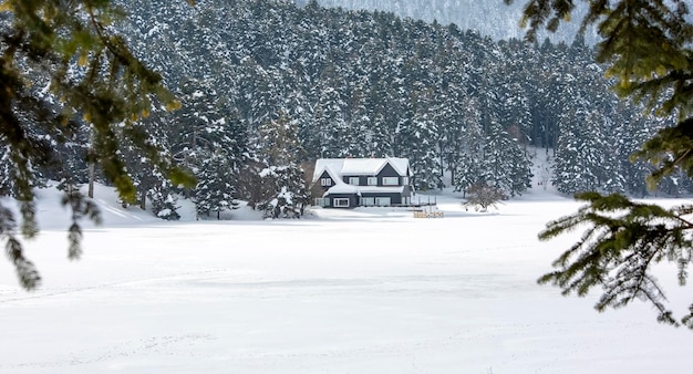 Golcuk Bolu Turkey winter season snow landscape