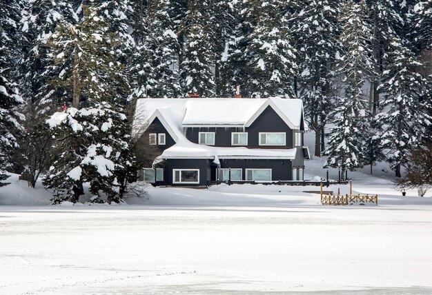 Golcuk Bolu Turkije winter sneeuwlandschap Reizen conceptfoto