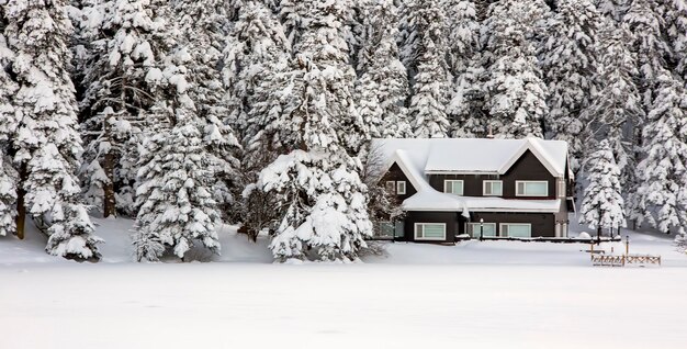 Golcuk Bolu Turkije winter sneeuwlandschap Reizen conceptfoto