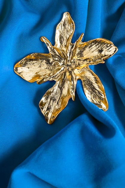 Gold Brooch On Fabric