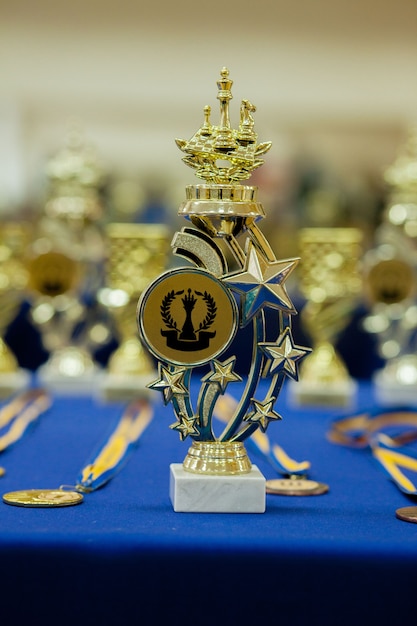 Vincitore della coppa d'oro