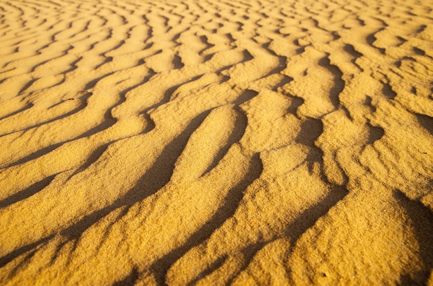 Gold desert into the sunset. Sand texture.