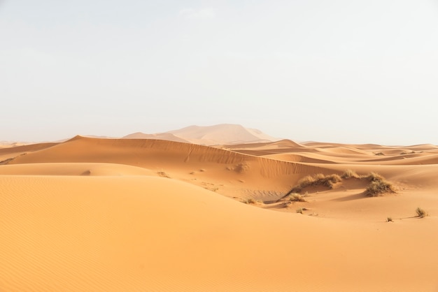 Deserto d'oro al tramonto. marocco.