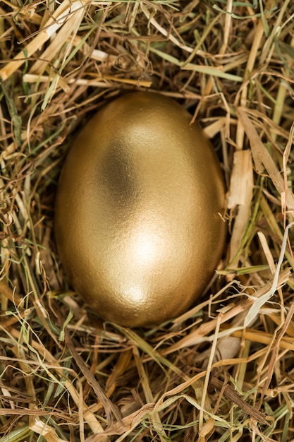 Gold egg in the straw