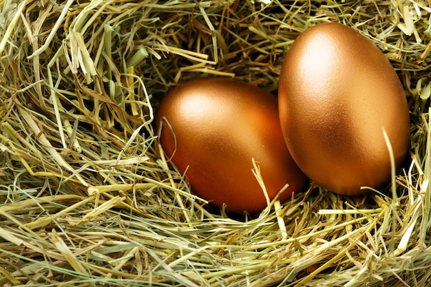 Gold eggs