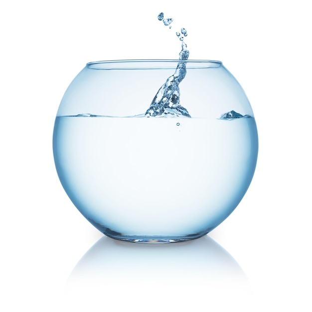 A gold fish fishbowl with a water splash impact isolated on white background. taken in studio with a 5d mark iii