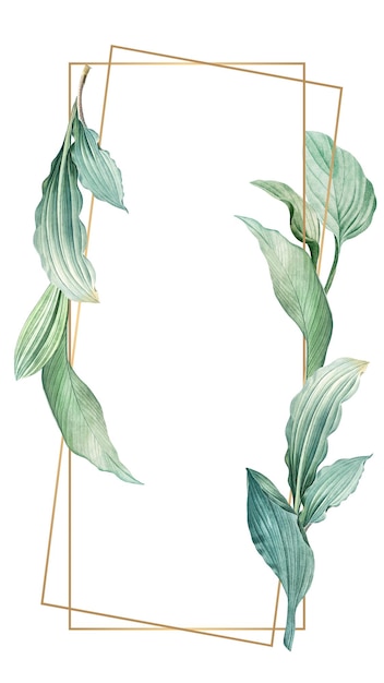 Gold frame png leaf illustration transparent background