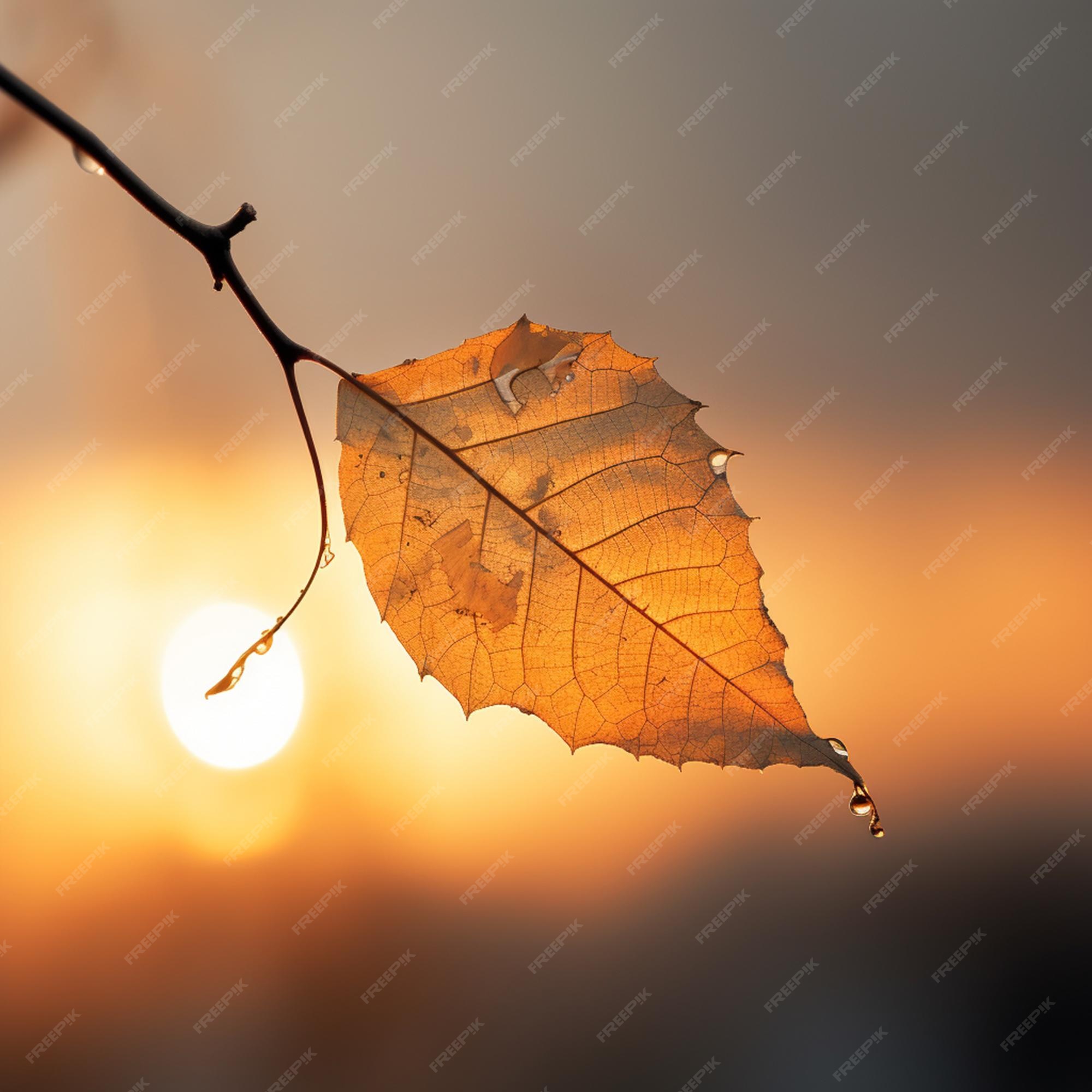 Premium AI Image | Gold leaf