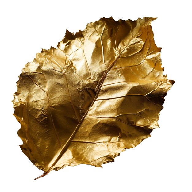 Gold leaves isolated on white background top view