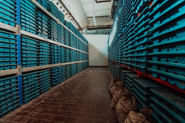 Gold mining storage rock core samples geology drilling industry. Large ore warehouse in modern industry, ores stacked in boxes. Selective focus. High-quality photo