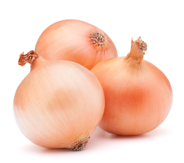 Gold onion vegetable bulbs